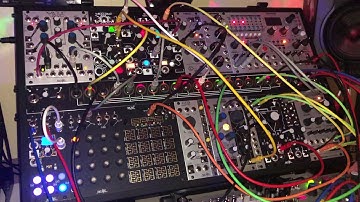 Symbiosis || Rings, Morphagene, Telharmonic