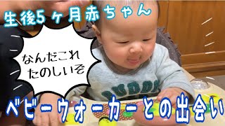 【生後5ヶ月】歩けない赤ちゃんがベビーウォーカーを可愛く乗りこなす！！！【歩行器】