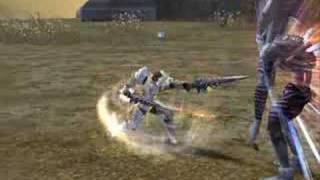 Lineage II - Video PvP Test Server C4