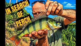 Fenland drain fishing in search of Perch, Tench and Rudd