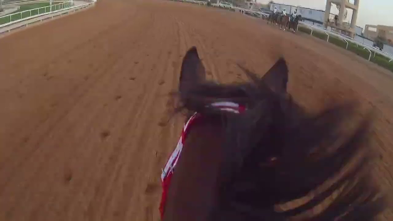 Forever Young 2024 Saudi Derby Jockey Cam