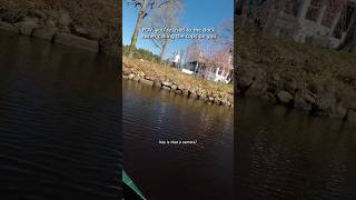 When the dock owner comes out