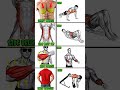 🔥 Full Body Workout at Home 💪 | #Chest #Abs #Arms #Back #Workout #Fitness