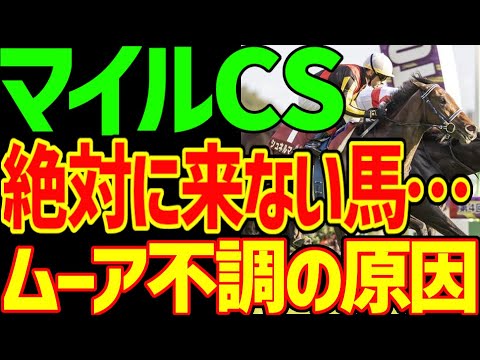 【マイルCS予想】ナミュールは絶対来ない！？その理由は短期免許のライアン・ムーアの境遇が大変すぎるから！？2023年マイルチャンピオンシップ予想動画【競馬ゆっくり】【私の競馬論】