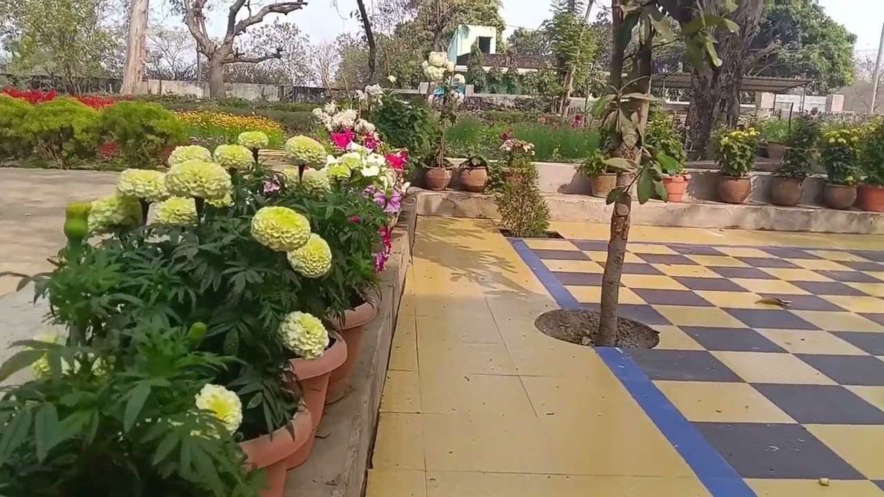 Sri Aurobindo institute of integral education, KAINIPURA school campus petal 3