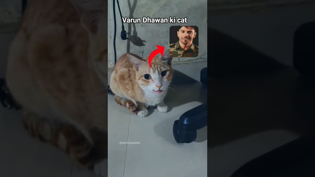 same smile 😺. Varun Dhawan meme 