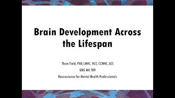 Brain Development Across the Lifespan