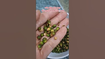 nên để nguyên hạt hay giả nát tiêu cho món Bò Sốt Tiêu. Hotline 0935.401.556 #food #bosottieu