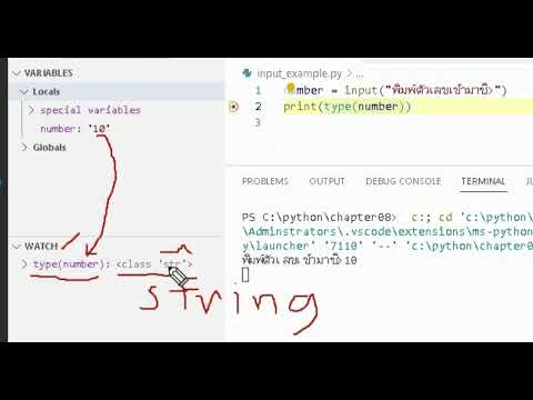 การ debug ดูการทำงานของฟังก์ชัน input (Python บทที่ 8)
