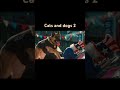 𝐂𝐚𝐭𝐬 𝐚𝐧𝐝 𝐝𝐨𝐠 𝐭𝐡𝐞 𝐫𝐞𝐯𝐞𝐧𝐠𝐞 𝐨𝐟 𝐤𝐢𝐭𝐭𝐲 𝐠𝐚𝐥𝐨𝐫𝐞 𝟐 #catsanddogs