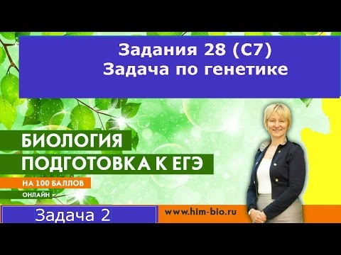 Задача на наследование  группы крови и резус фактор.Подготовка к ЕГЭ и ОГЭ по биологии