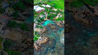 This Beach Club is insane !!! 2026 Must visit 🇻🇺✨