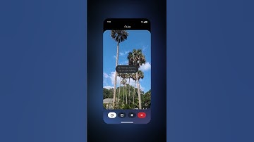 Gemini keeps it real. 😎 Share your camera with Gemini Live to ask questions about what you see.