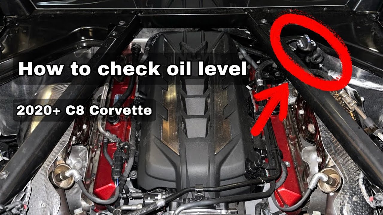 How To Check Oil Level In The C8 Corvette Dry Sump Oiling Systems how-to-check-oil-level-in-the-c8-corvette-dry-sump-oiling-systems