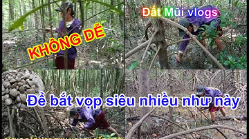 Vọp Rừng Quá To – Thu Hoạch Lần Này Đúng Đã!