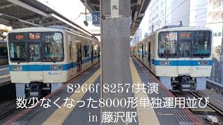 8266f 8257f 共演　　数少なくなった8000形単独運用並び　　in藤沢駅