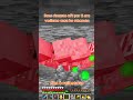 Minecraft Skeletons Xp
