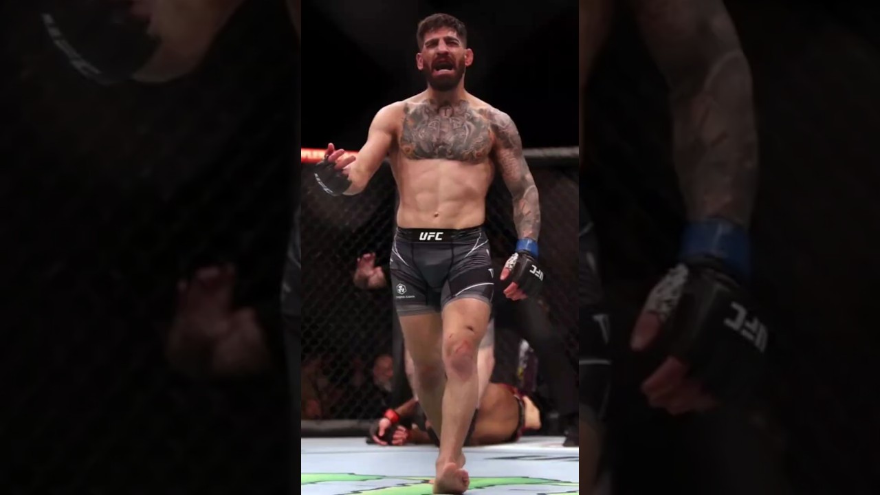 P4P кто сильнее? 