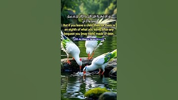 القرأن الكريم سورة النساء الأية 12 Quran Translated to English #quran #women