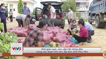 [TIẾNG GIA RAI] HỖ TRỢ NÔNG DÂN TIÊU THỤ NÔNG SẢN TRONG TÌNH HÌNH DỊCH BỆNH | VTV5