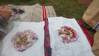 Download Lagu INCA SHAMAN SCHOOL  MP3