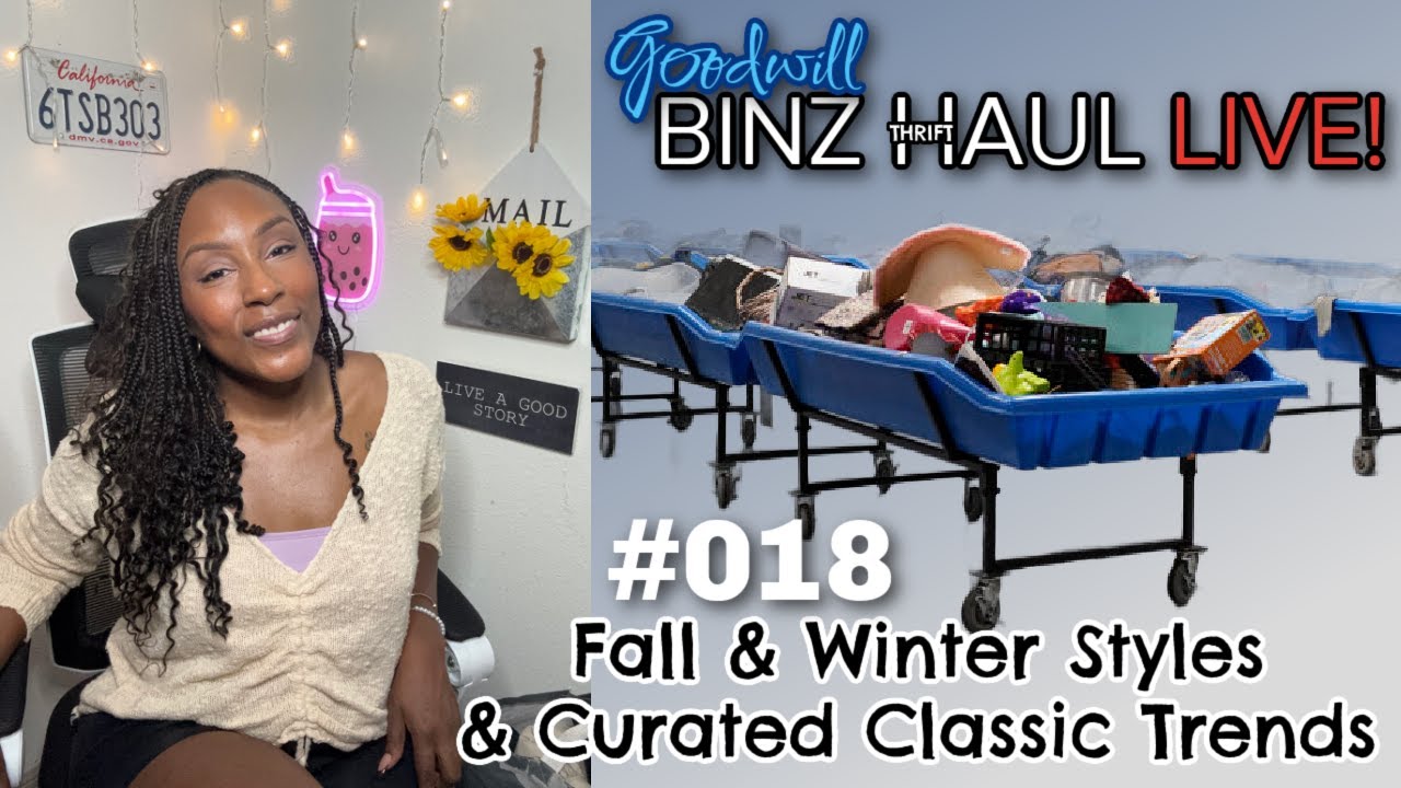 Goodwill BINZ Thrift Haul 