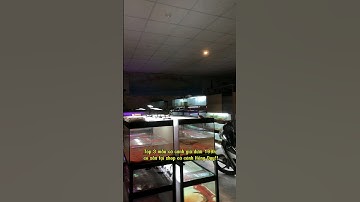 Top 3 loại cá lóc cảnh dưới 99 ka tại shop cá cảnh Hồng Duy #ca_canh_hong_duy