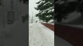 Snow Falls Minsk Belarus Sno