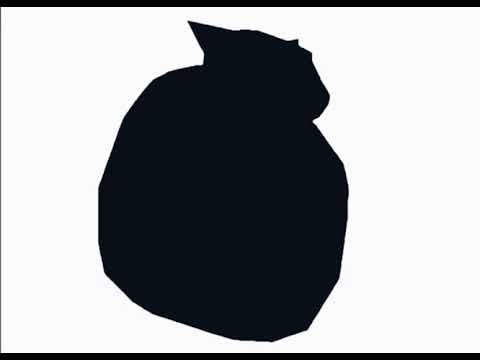Maxwell cat spinning 100x faster