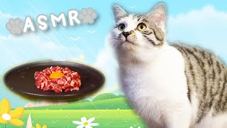 Mukbang Cat, My Cat Eating Raw Beef Meat With Egg Asmr.
