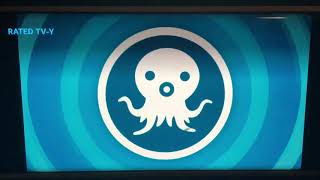 Creature Report Alligators And Bomber Worms