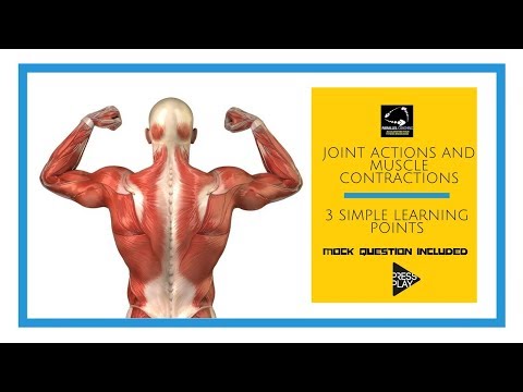 Joint Actions and Muscle Contractions in 3 simple learning points