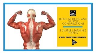 Joint Actions and Muscle Contractions in 3 simple learning points