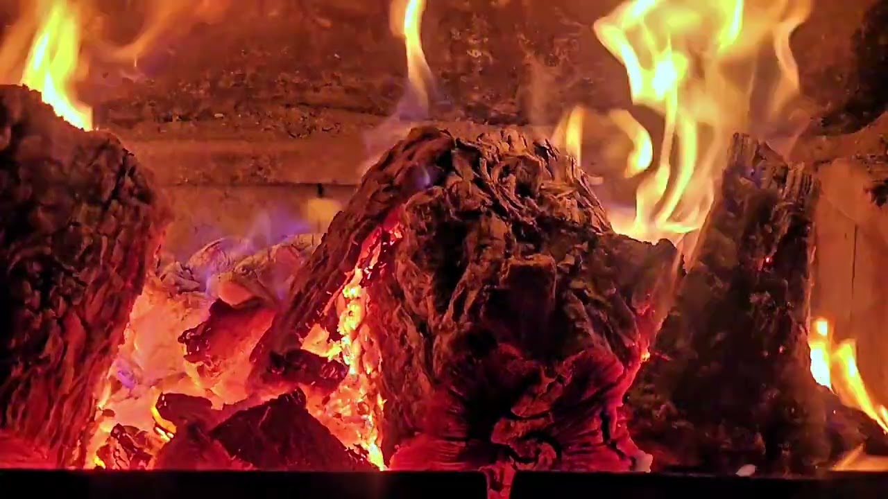 10 minute real Relaxing wood fire cozy burning 🔥
