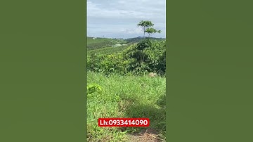 Đất view hồ.tại thôn 2.lộc tân.bảo lâm.lâm đồng