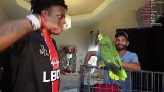 iShowSpeed Barks On New Buys Parrot With Nigga Dog