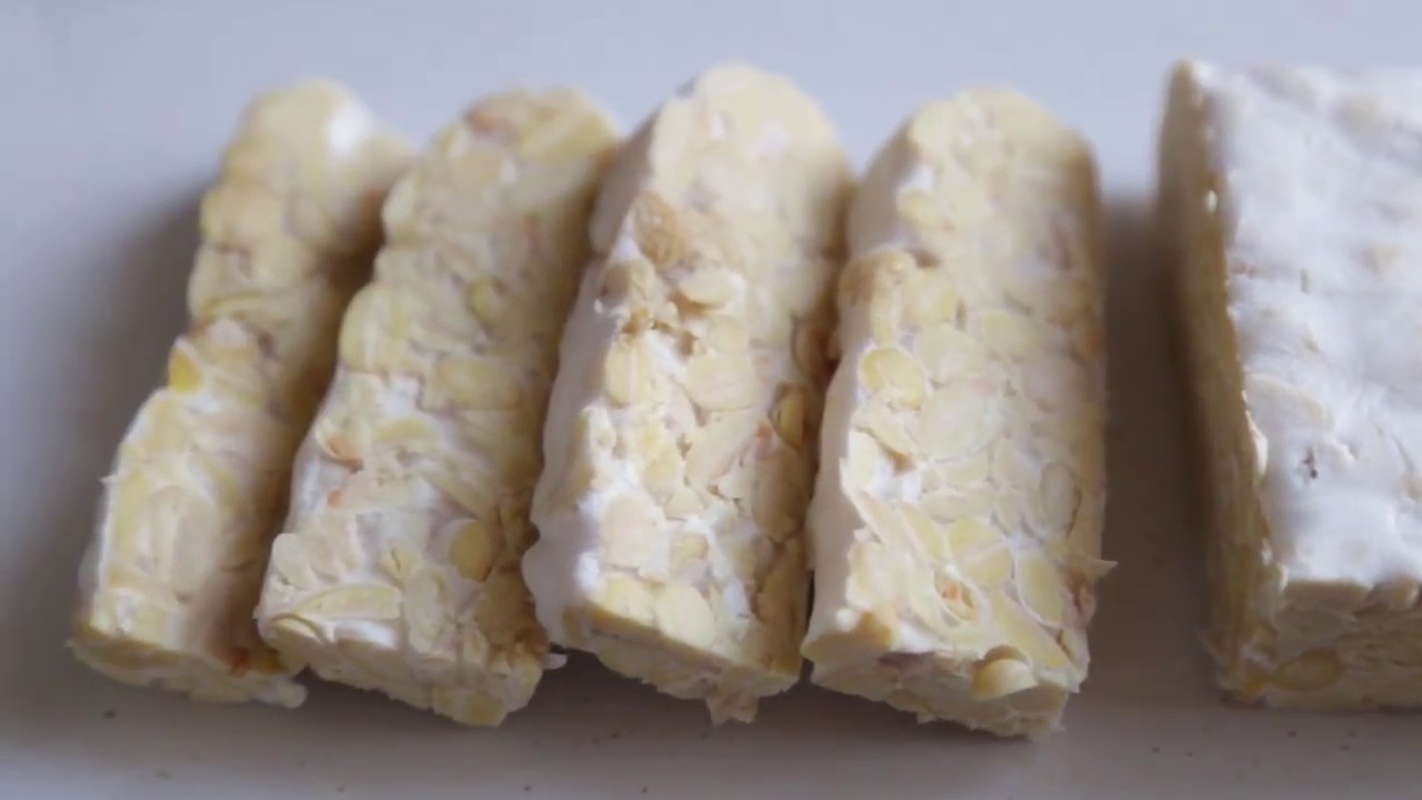 How To Easily Make Tempeh At Home YouTube
