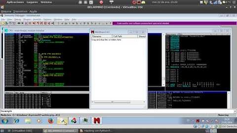 Hacking con Python - Parte IXXX Scripting en immunity debugger Pycommands