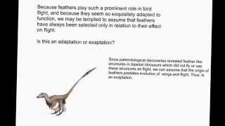 Origin of Complex Traits (explain everything video)