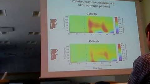 Wolf Singer - The dynamic brain: Time as coding space in cortical processing
