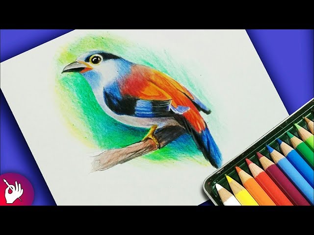 Buy A Beginner's Guide to Colored Pencil Drawing: Realistic Drawings in 14  Easy Lessons! (With Over 200 illustrations) Book Online at Low Prices in  India | A Beginner's Guide to Colored Pencil