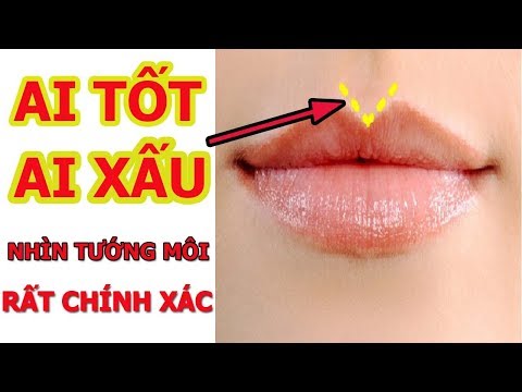 Video: Hình Dạng Môi Lý Tưởng đã được Xác định