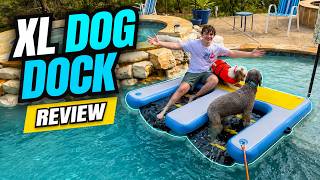 Viuseo XL Inflatable Dog Dock & Boat Ramp Review