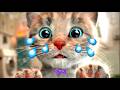 Cute Kitten Little Cat Adventure With MEOW Play Fun Pet Care Preschool Educational Game For Kids Cute Kitten Little Cat Adventure With MEOW Play Fun Pet Care Preschool Educational Game For Kids