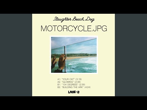 Your Cat - Slaughter Beach, Dog