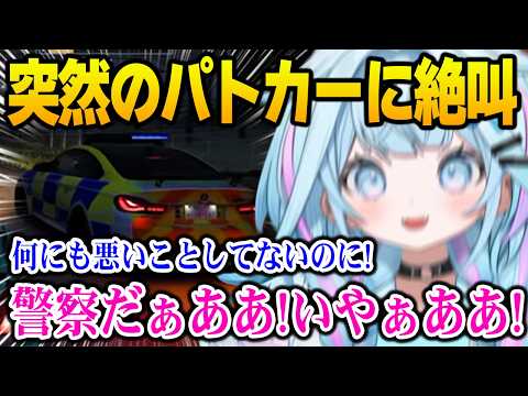 にゃむろん - YouTube