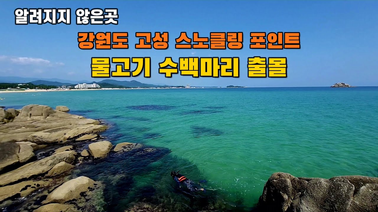 강원도고성 자작도캠핑장 스노클링 포인트 공개 물고기 수백마리 촬영/삼포해수욕장/자작도해수욕장/DMZ박물관/통일전망대 영상입니다.