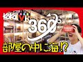 KoKaこどもVR「360°カメラで遊ぼう！」（「子供の科学」2019年3月号）