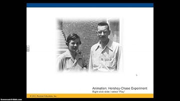 Ch. 16 Molecular Basis of DNA Part I