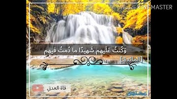 القارئ حسان بكر| ما تيسر من سورة المائده بصوت مبكي وخاشع